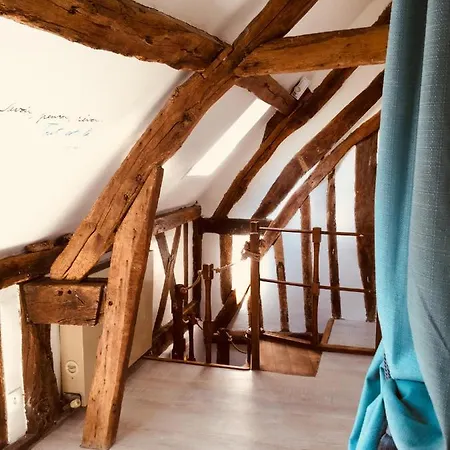 Les 4 Lions Duplex Chic Et Charme Appartement *