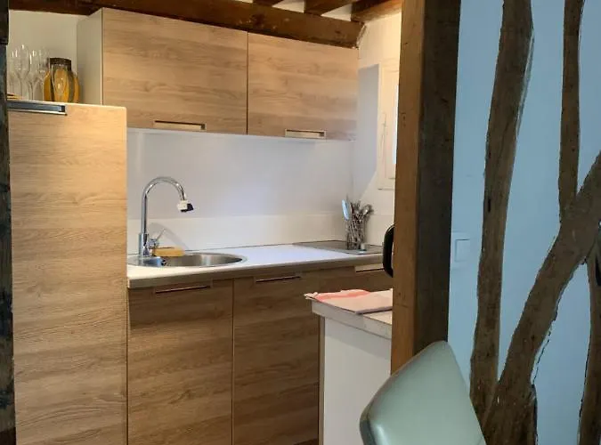 Les 4 Lions Duplex Chic Et Charme Apartment *